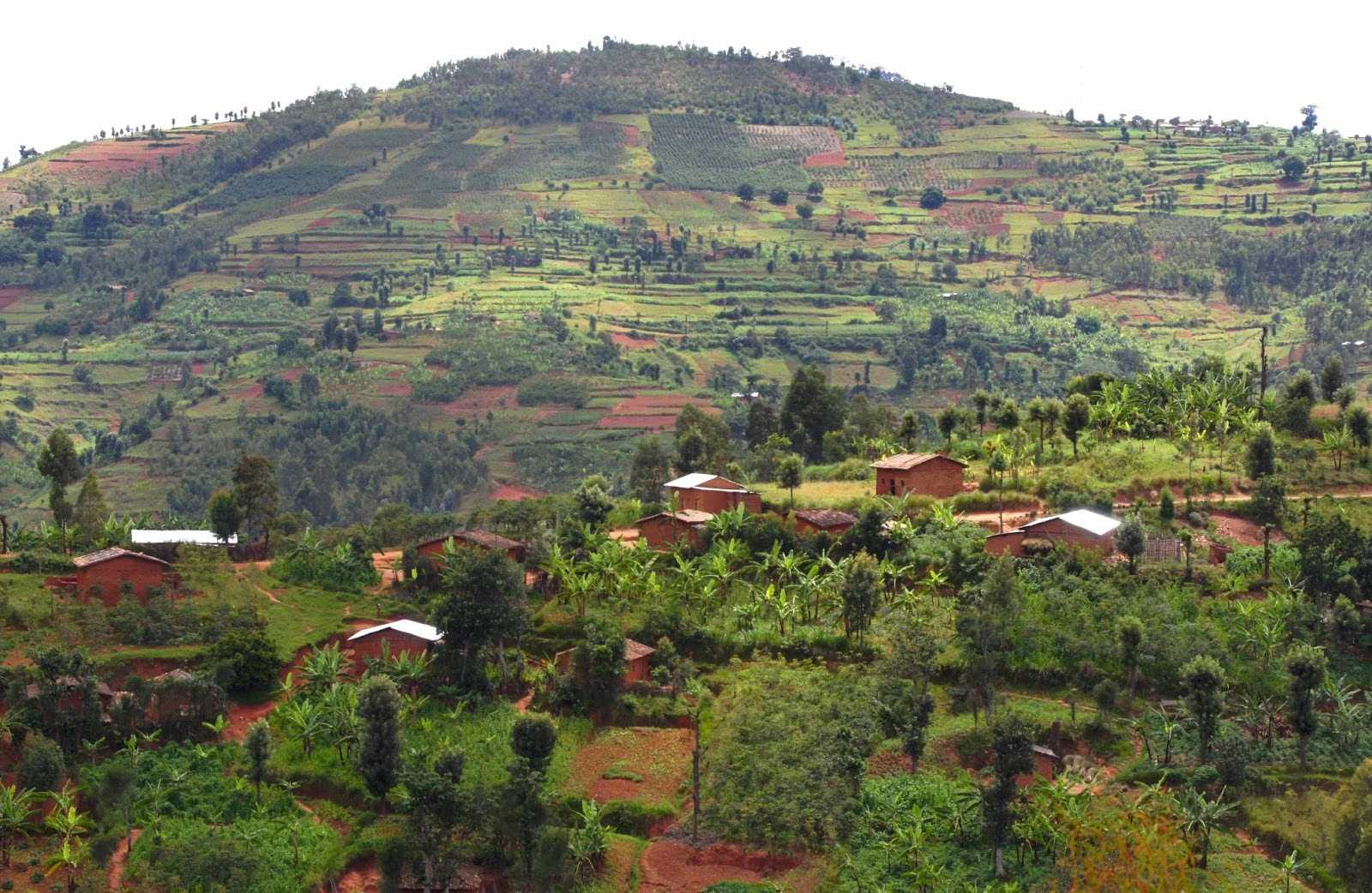 Carpet Manufacturer in Burundi